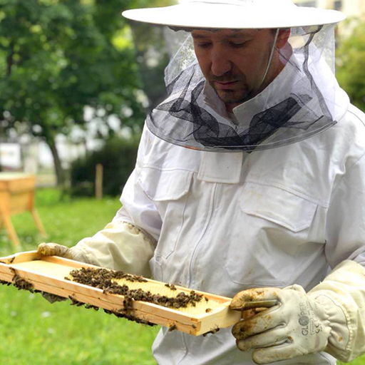 zdjęcie dyrektora cwr rw w stroju pszczelarskim trzymającego plaster pszczeli