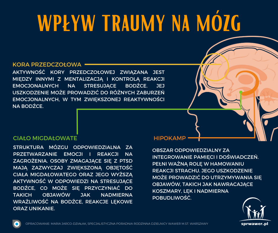 Grafika, tekst "wpływ traumy na mózg"