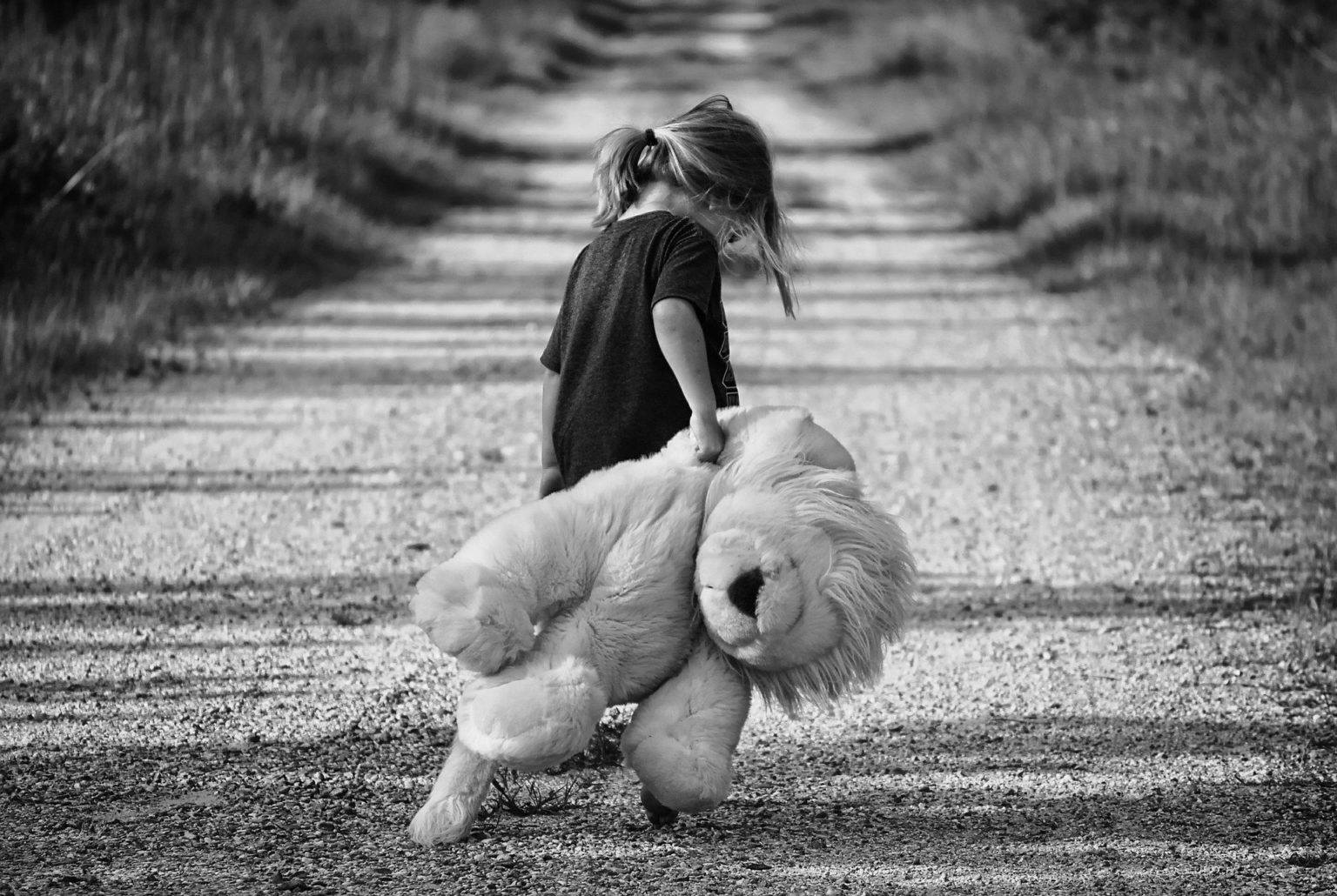 małe dziecko niosące dużego pluszowego lwa polną drogą