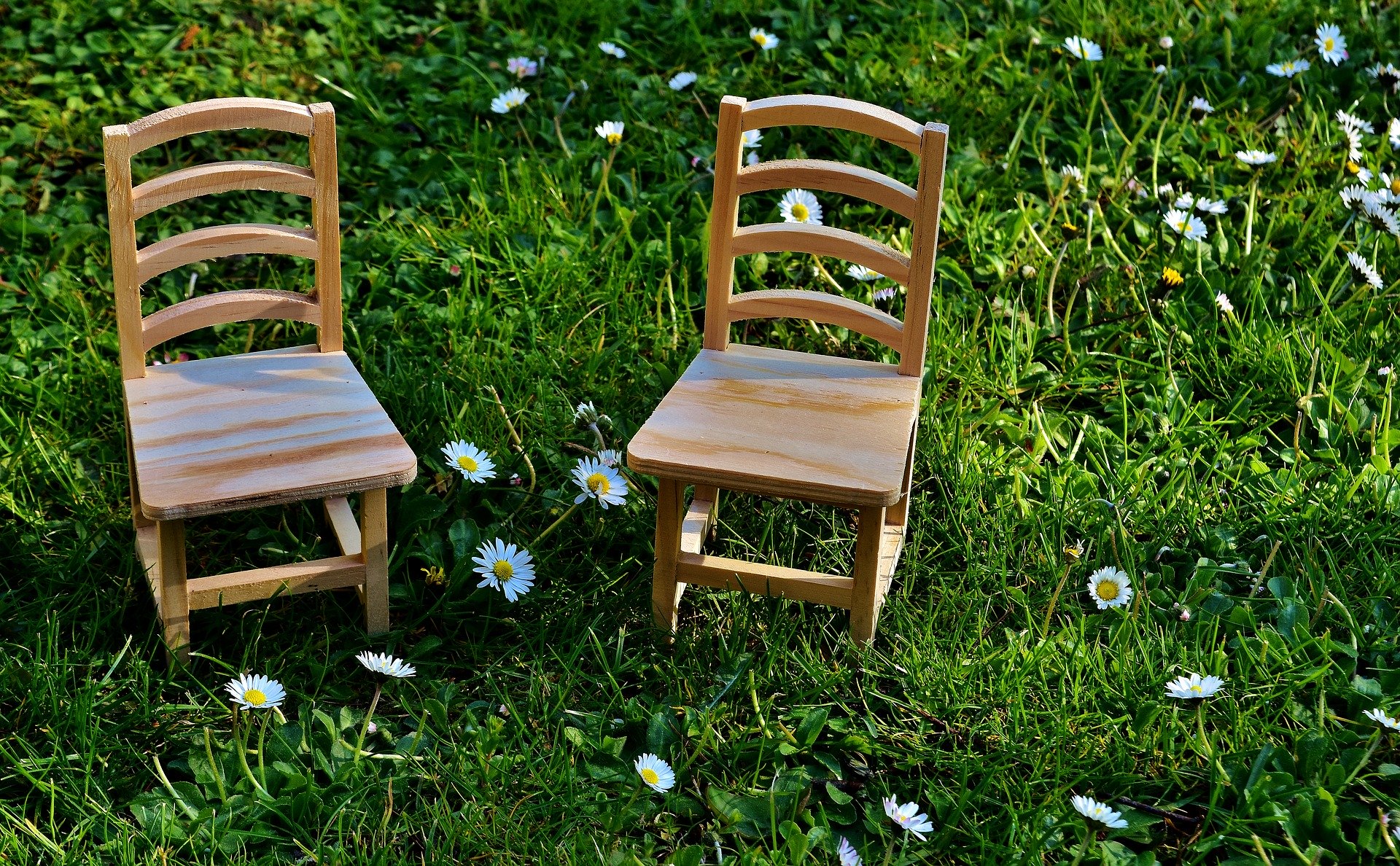 dwa drewniane krzesełka stojące na łące