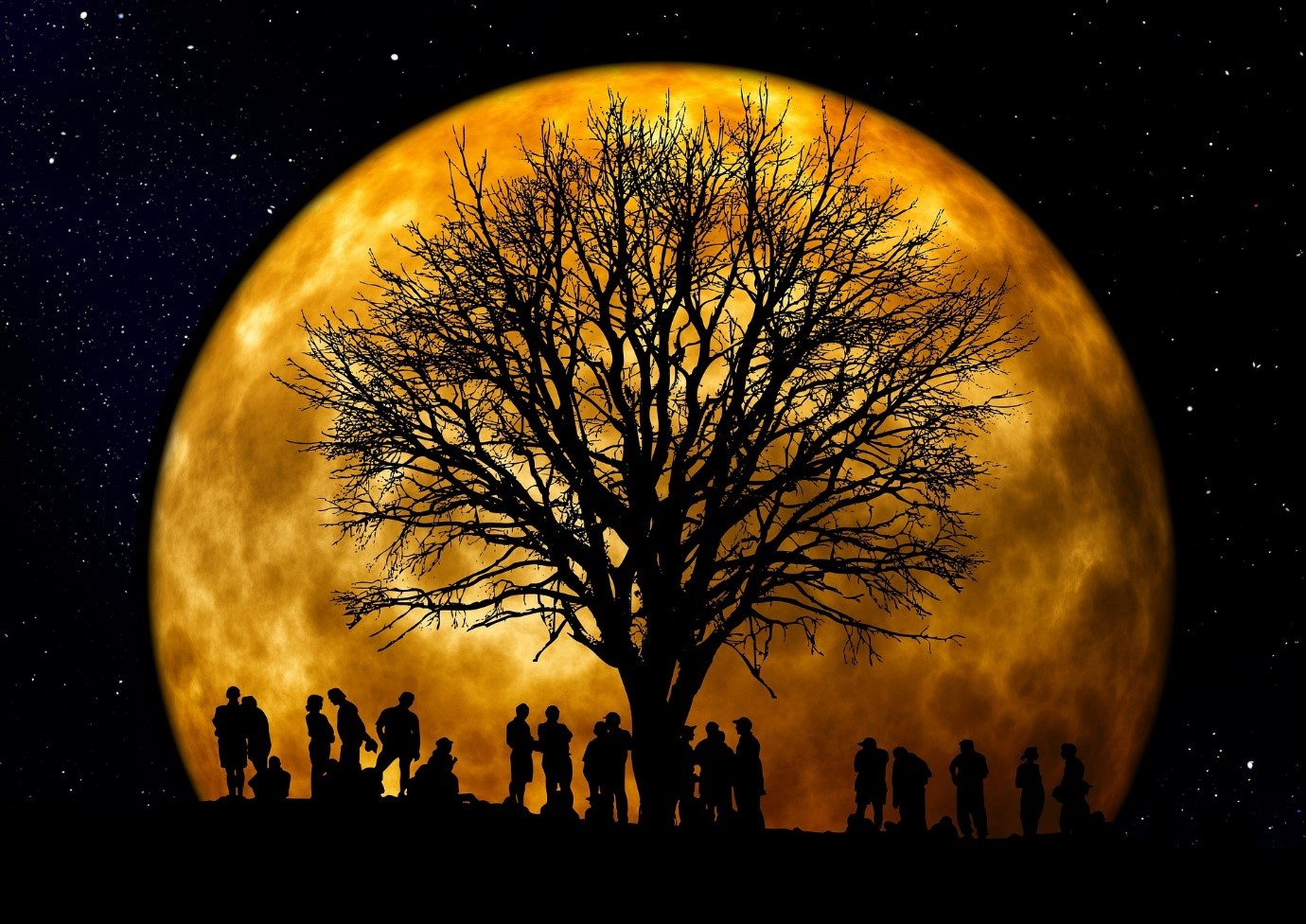 zdjęcie ludzie i drzewo w tle widać księżyc