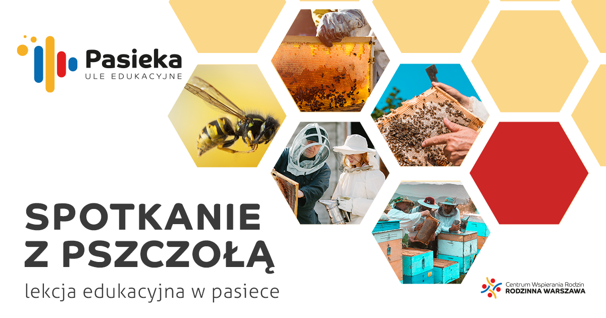 Baner z grafiką w kształcie plastrów miodu i napisem Spotkanie z pszczołą, lekcja edukacyjna w pasiece